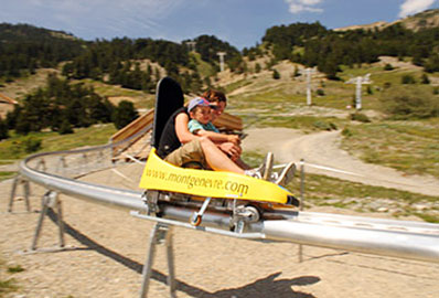 luge